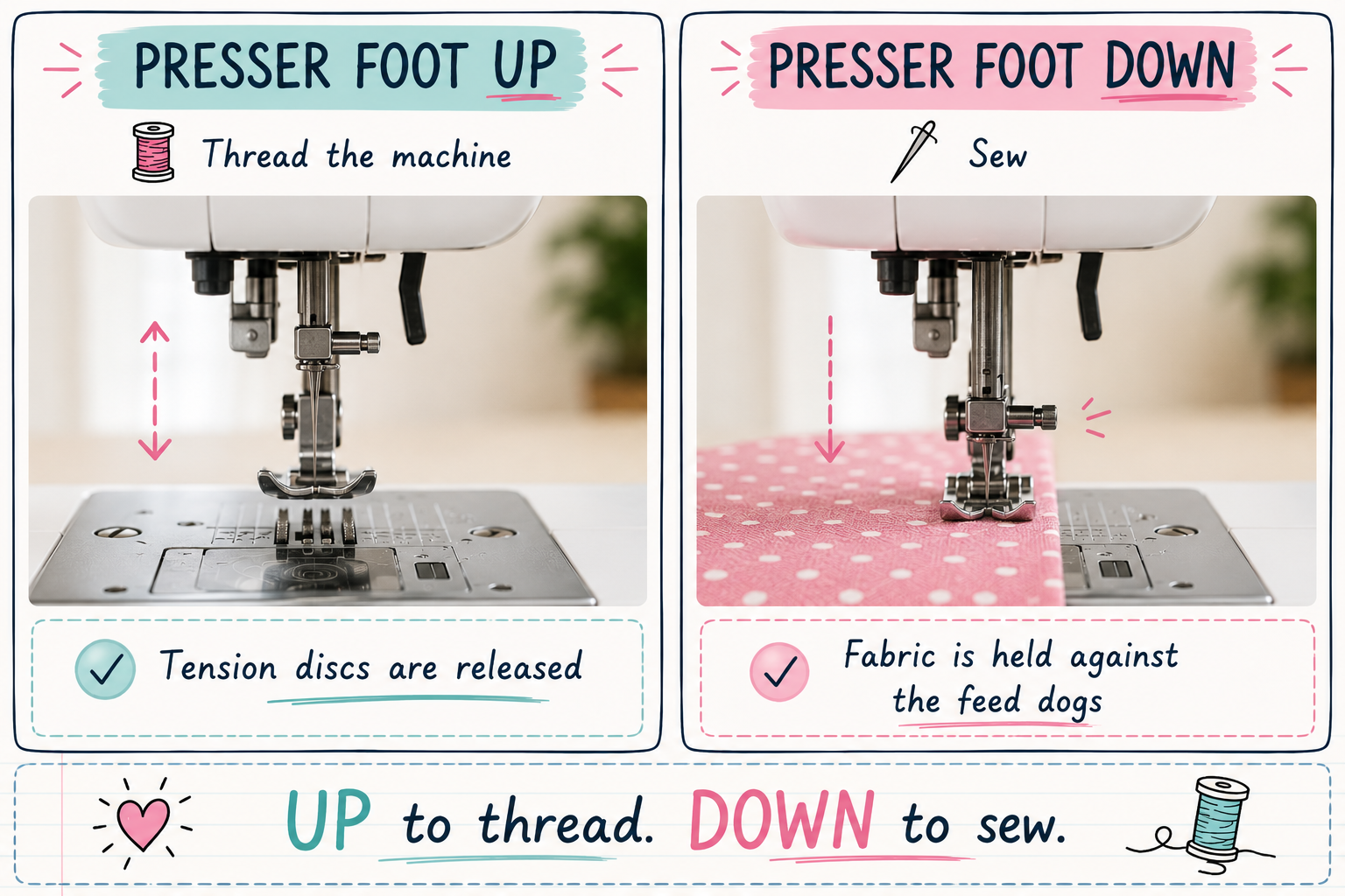 Presser Foot Up and Down Diagram