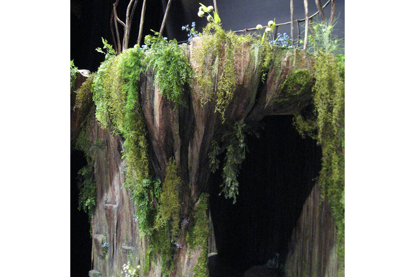 midsummer-mights-dream-2013-IMG_3303.png