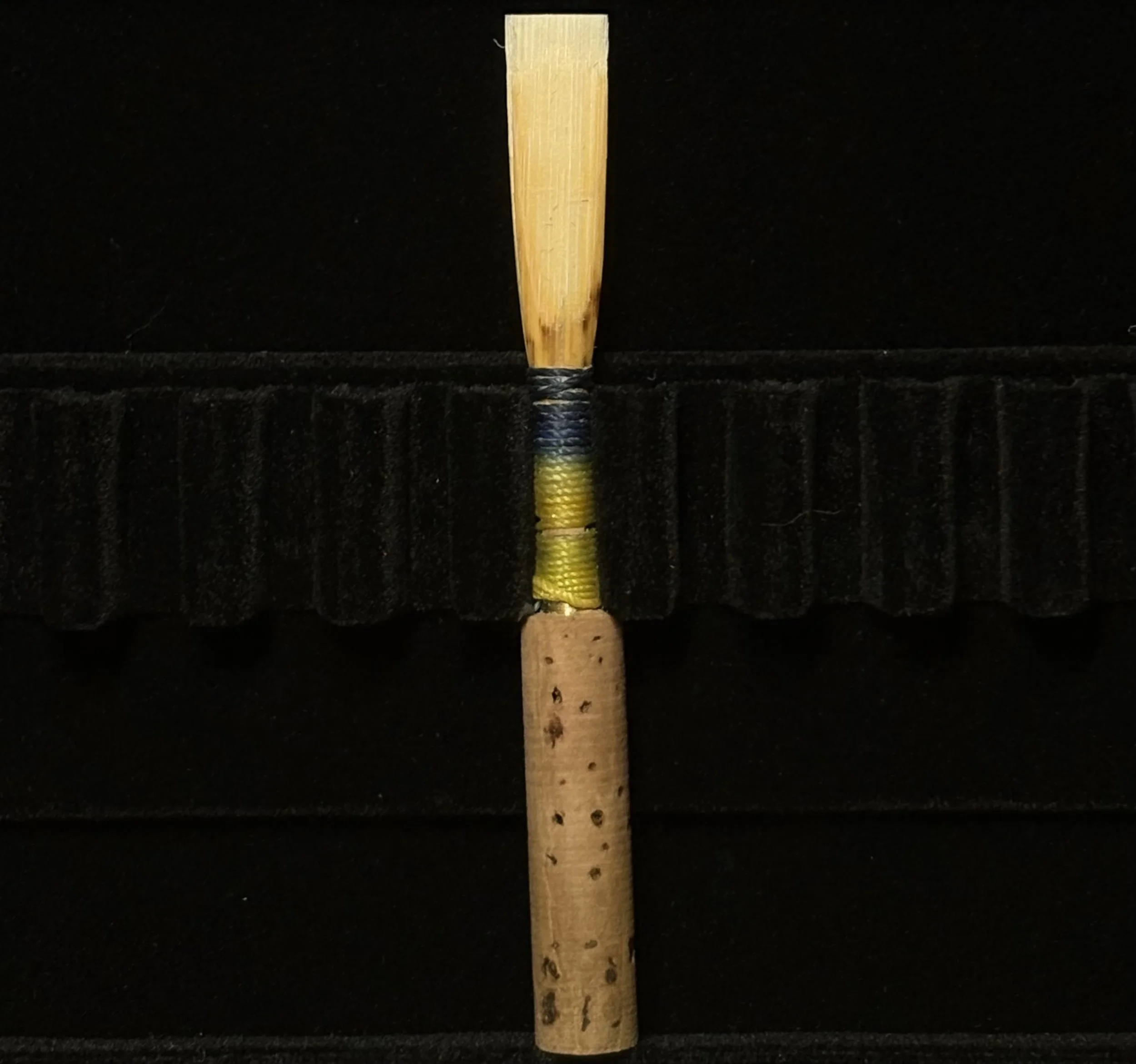 Oboe Reed-Golden Conure