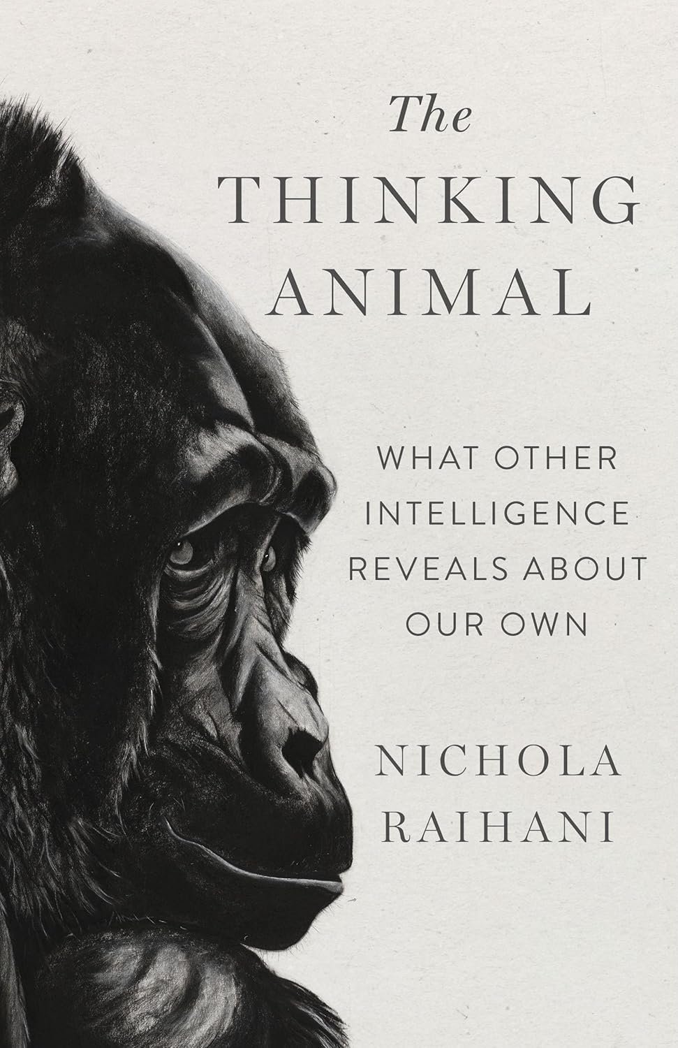 US cover