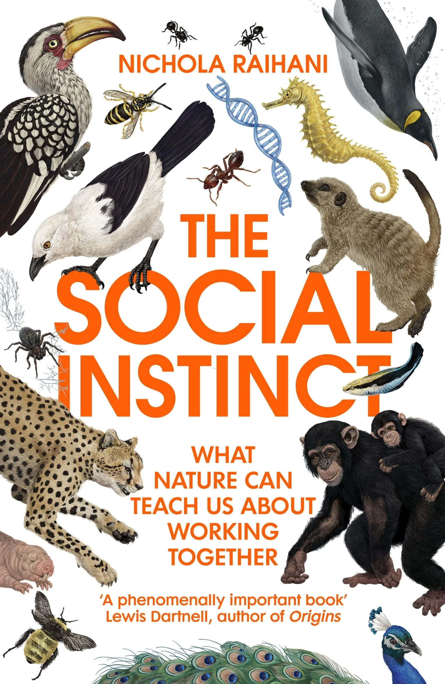 Image of The Social Instinct UK paperback cover