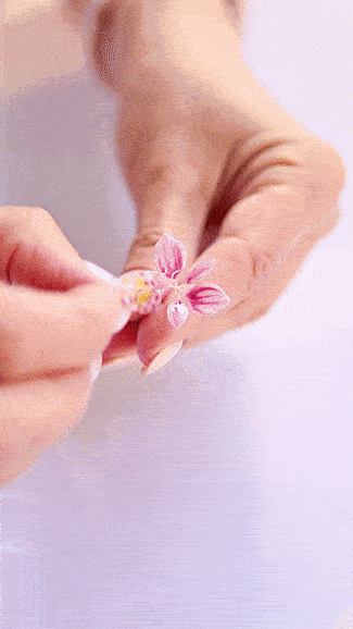 Close-up of someone arranging pink and white striped flower petals with their hands.