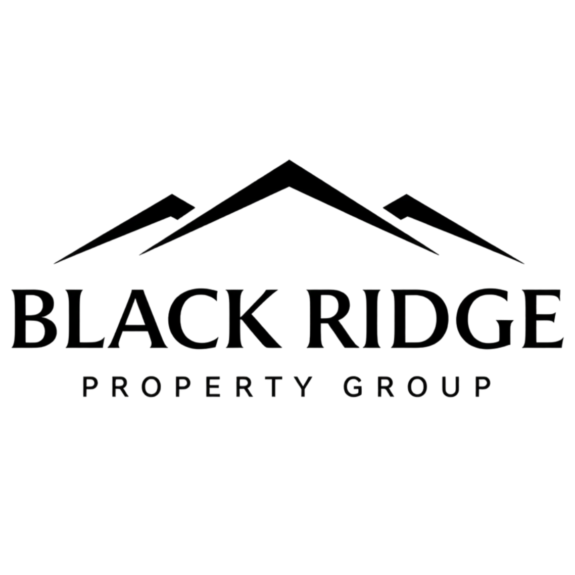 Black Ridge Property Group