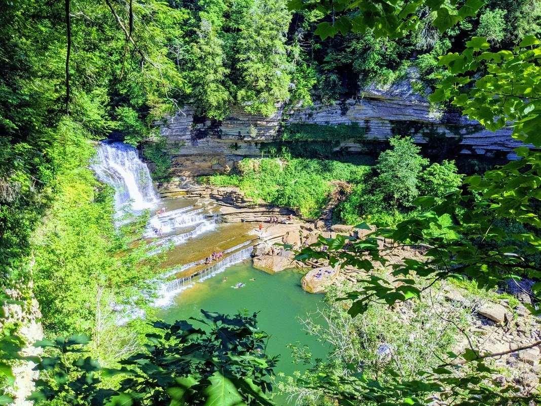 A lush green forest with a small waterfall flowing into a tree-lined swimming hole