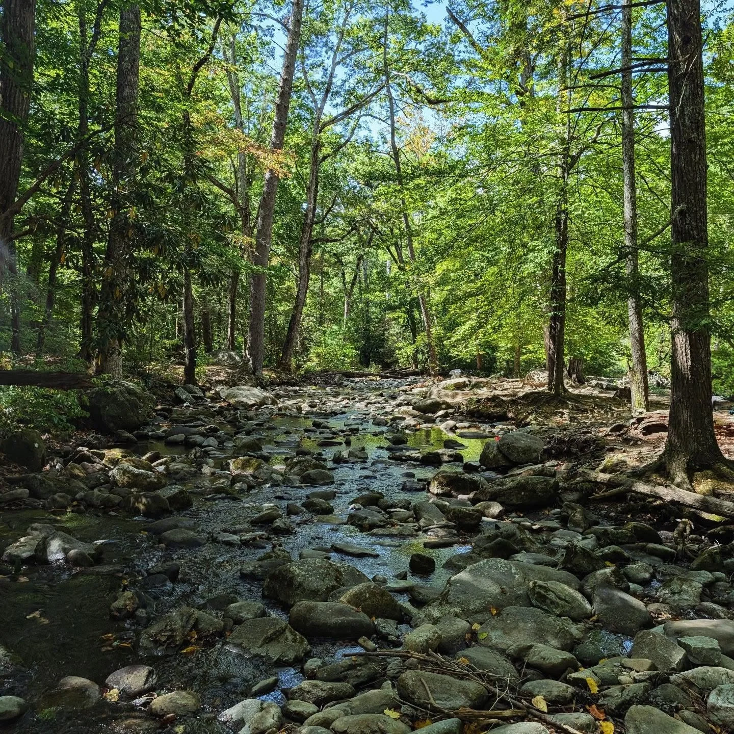 The mountains are calling! 🌳🏕️💚

#CadesCove #GreatSmokyMountains #SmokyMountains #Gatlinburg #Tennessee #Wanderlust