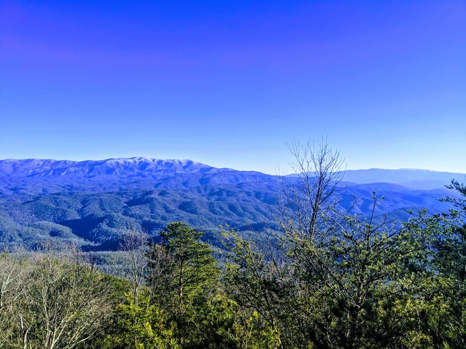 Look Rock Trail to the Tower: A Family Hike Near Maryville, Tennessee