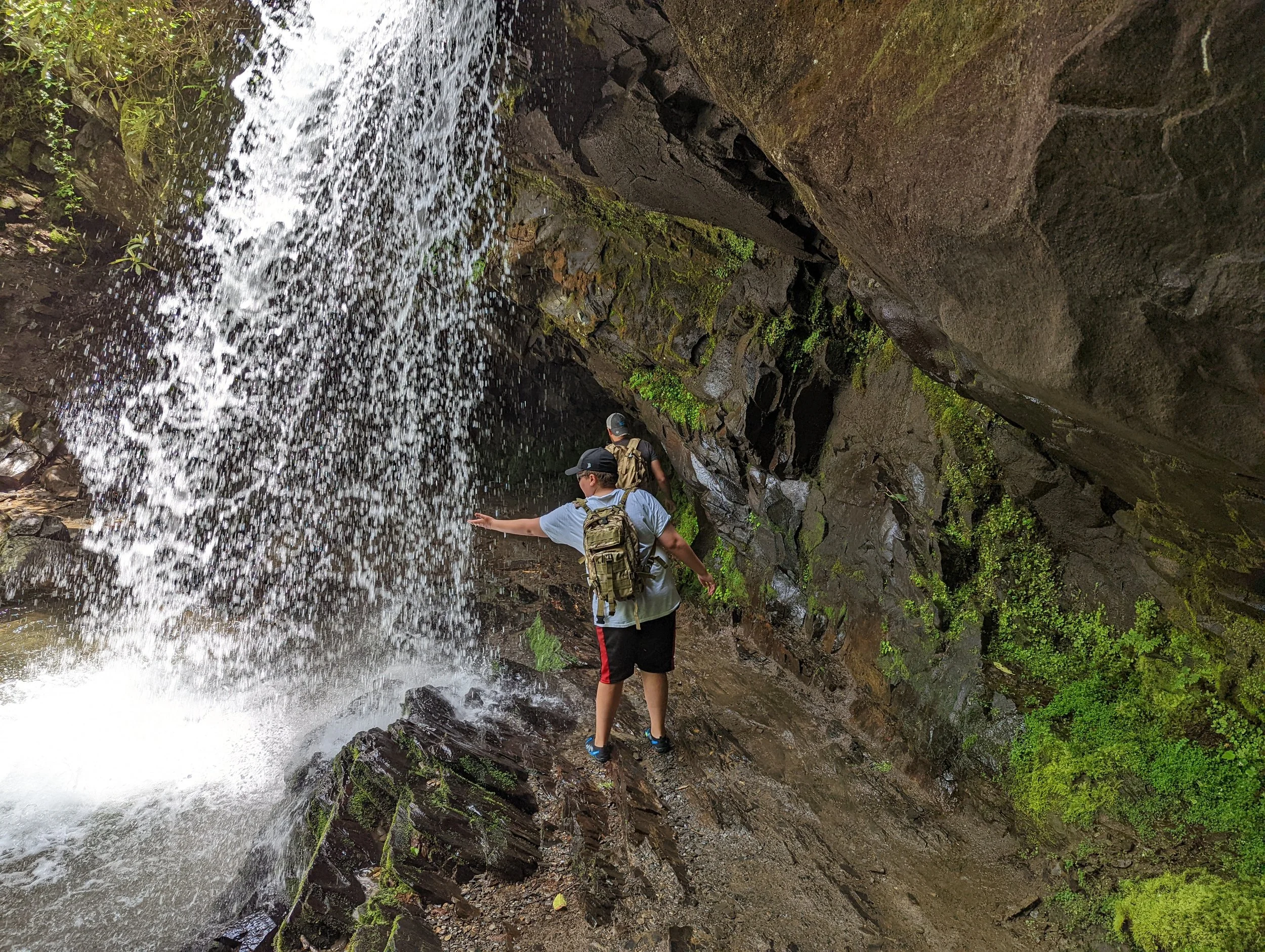 Deer on the Trail to Grotto Falls: A Family Hiking Guide (2026)