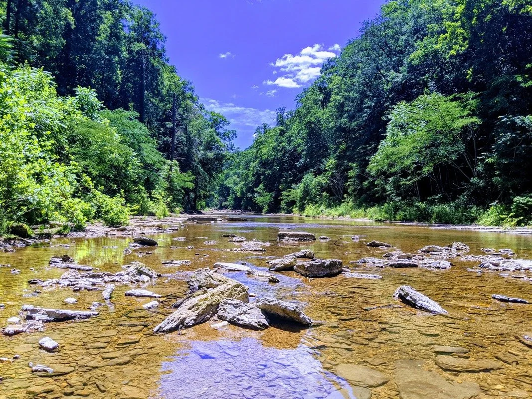 A rocky shallow river flows through a lush green forest under a clear blue sky with scattered clouds.