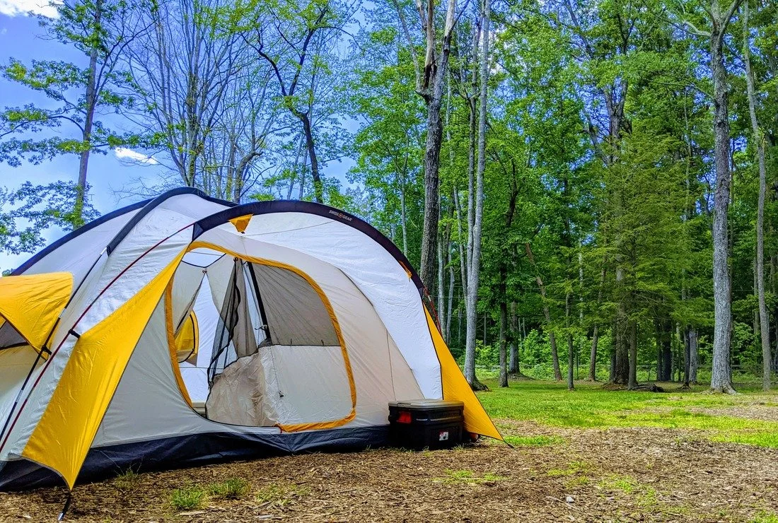A yellow and white camping tent set up in a wooded forest area with trees and green foliage, and a clear blue sky in the background.