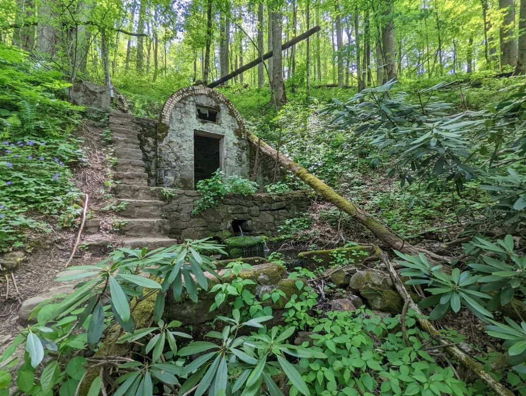An old stone water mill with a small waterfall in a lush green forest, surrounded by dense vegetation and tall trees.