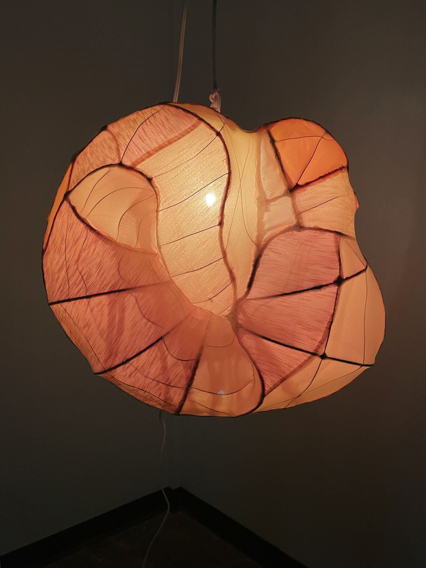 "Cannibal Lamp", 2026. Stretch fabrics, wire, bias tape, paint, light bulb & socket, electrical cord, rope.