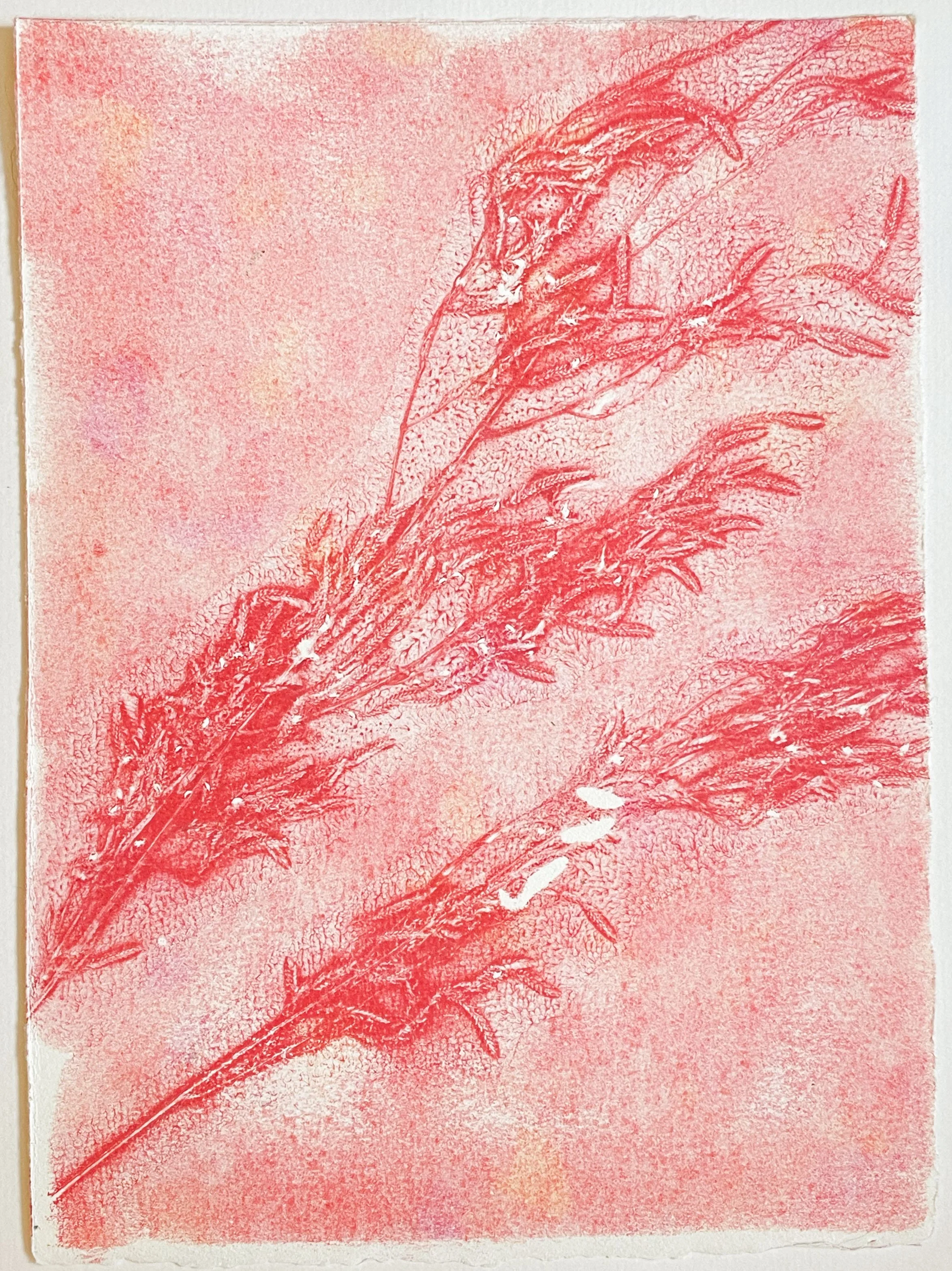 "Red Wheat", 2026. Monoprint. Acrylic paint, wheat, gel plate. 9 x 6.5in. 