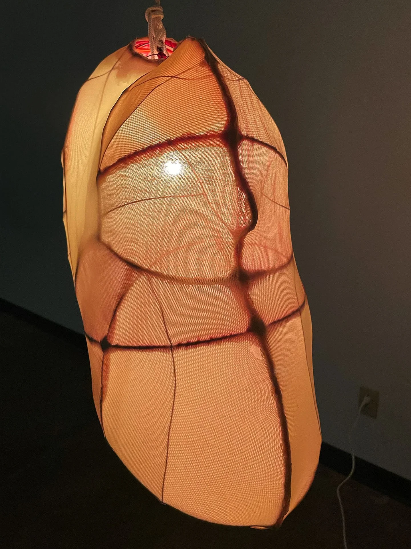 "Cannibal Lamp", 2026. Stretch fabrics, wire, bias tape, paint, light bulb & socket, electrical cord, rope.