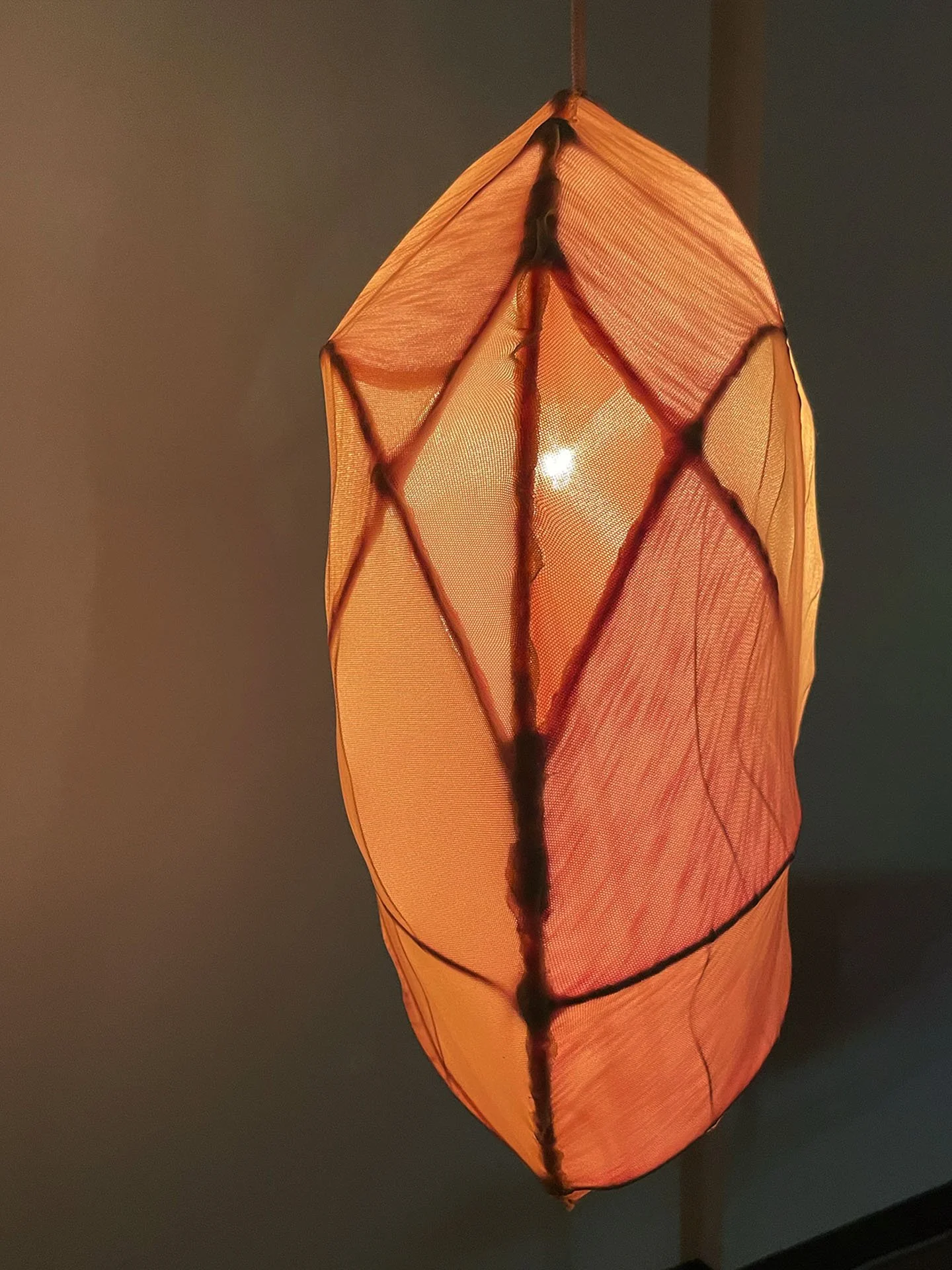 "Cannibal Lamp", 2026. Stretch fabrics, wire, bias tape, paint, light bulb & socket, electrical cord, rope.