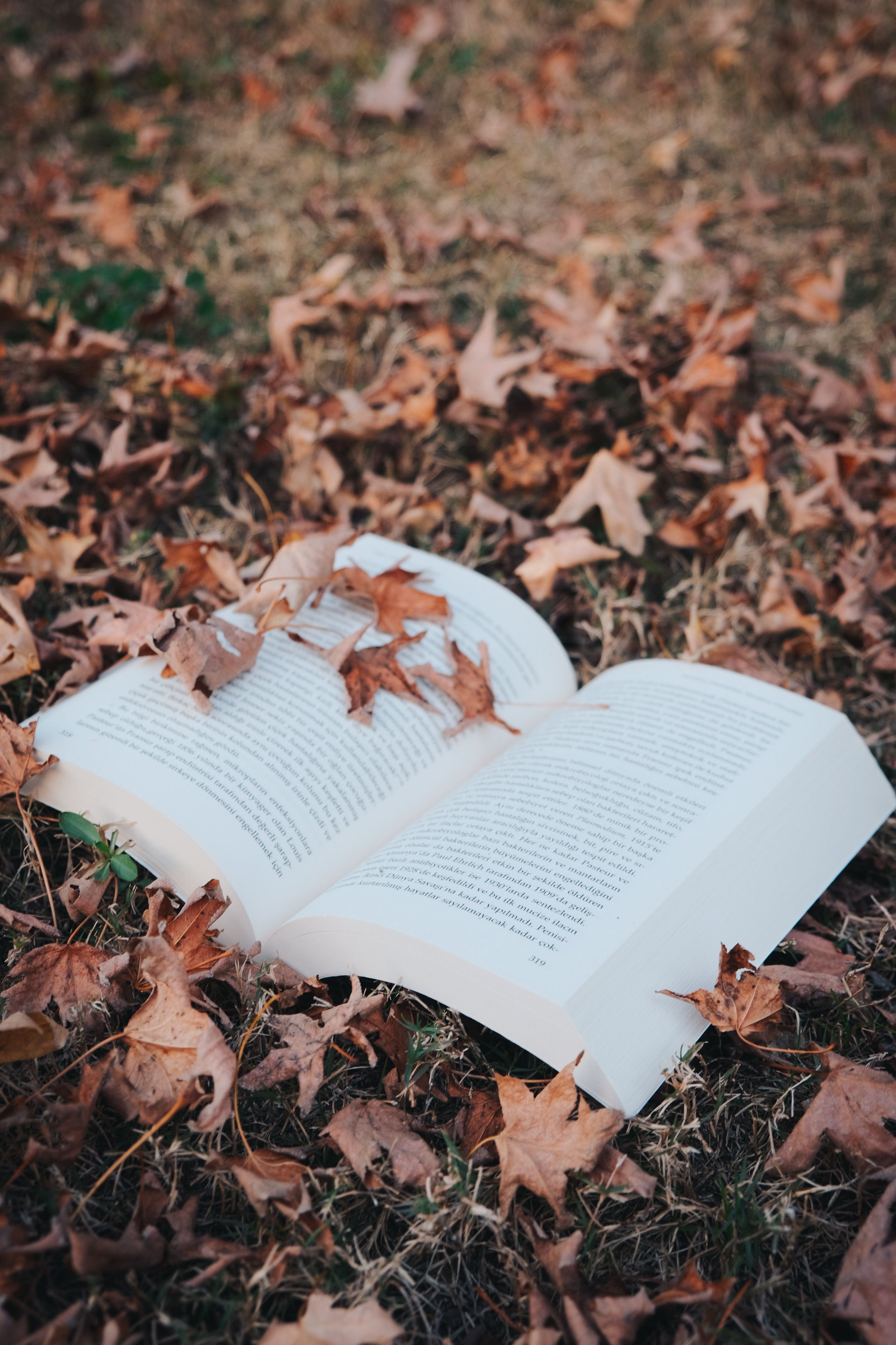 Livre ouvert posé sur des feuilles d’automne