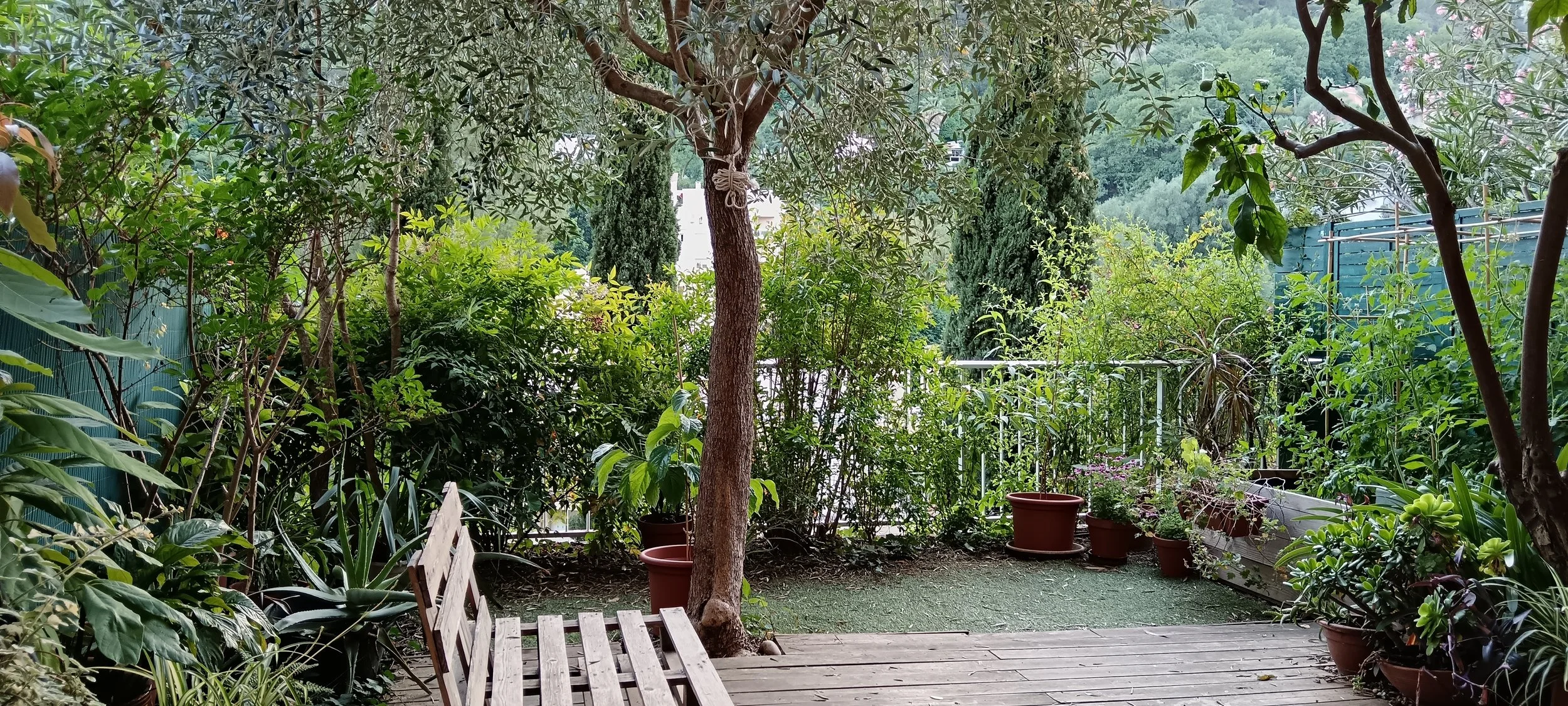 Jardin arboré de l’espace Pleinement Toi à Nice Nord