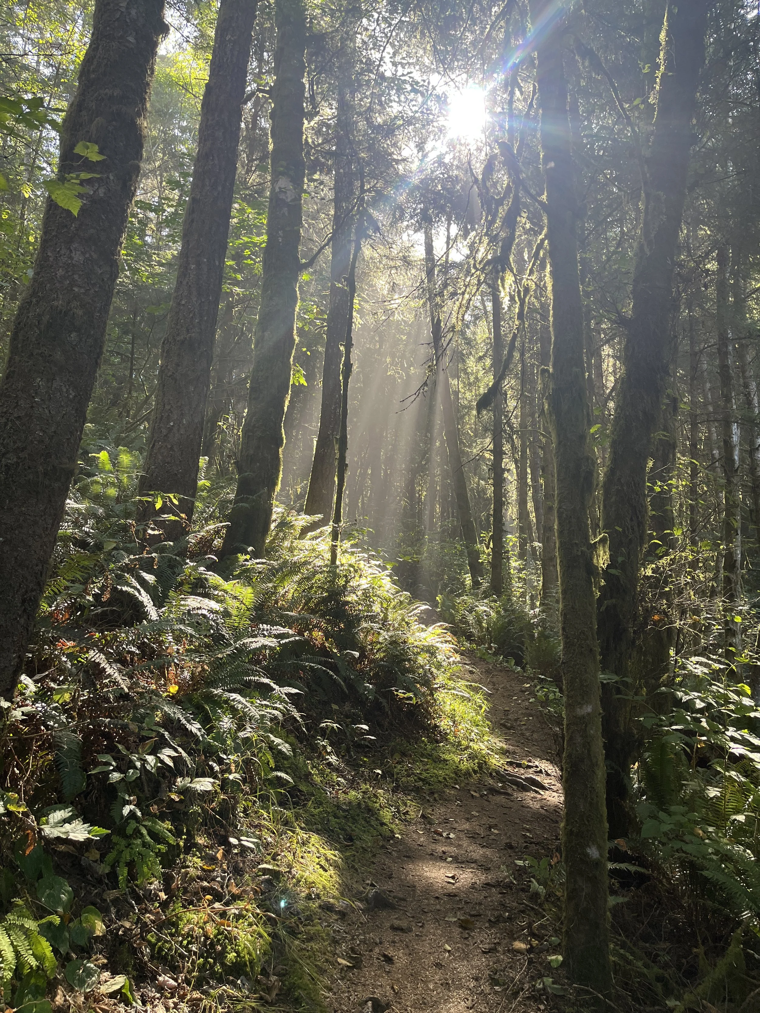 Secret Beach Trail Brookings, Oregon