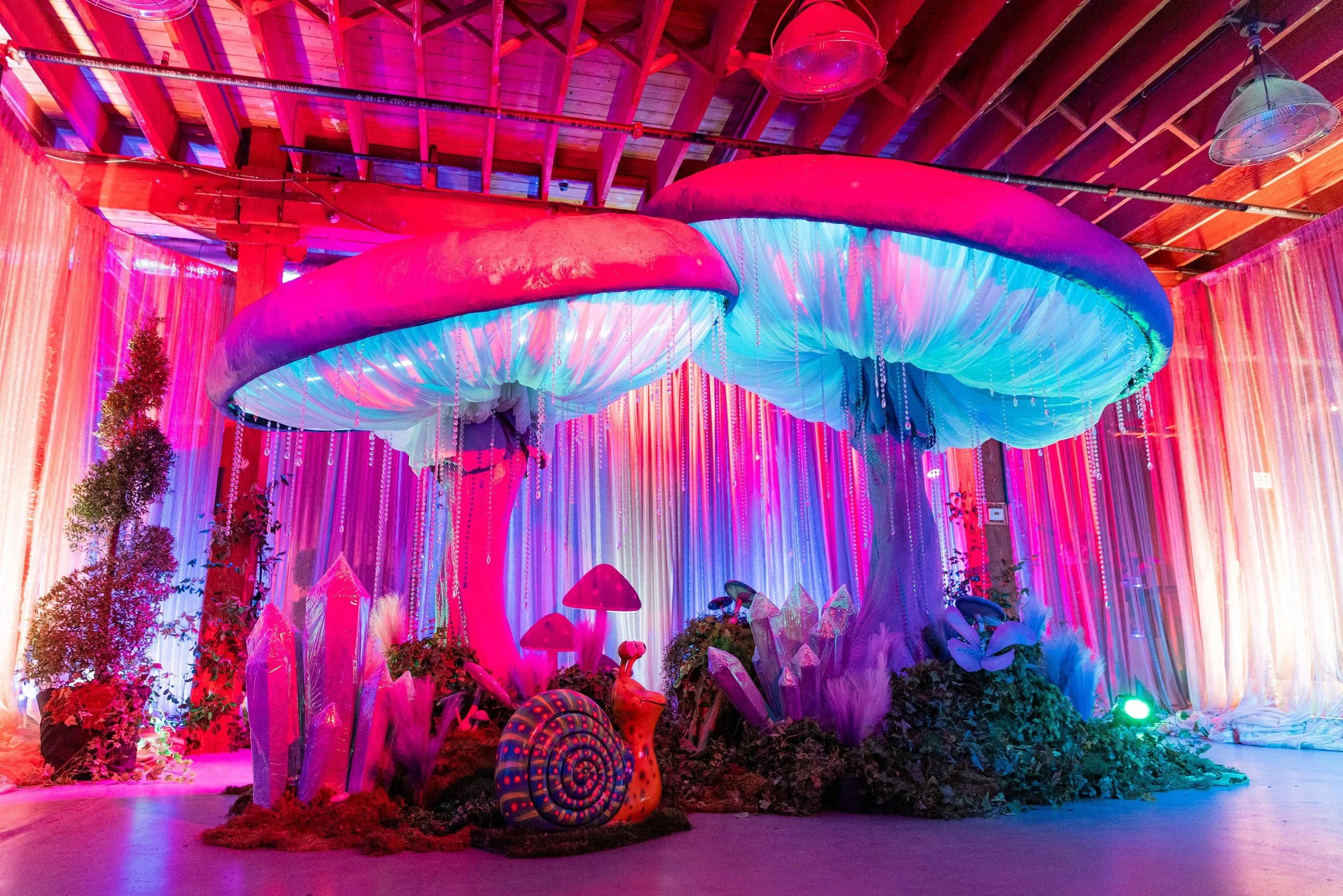  colorful art installation with large mushroom sculptures, plants, and decorative objects illuminated with vibrant pink, purple, and blue lighting inside a wooden structure.