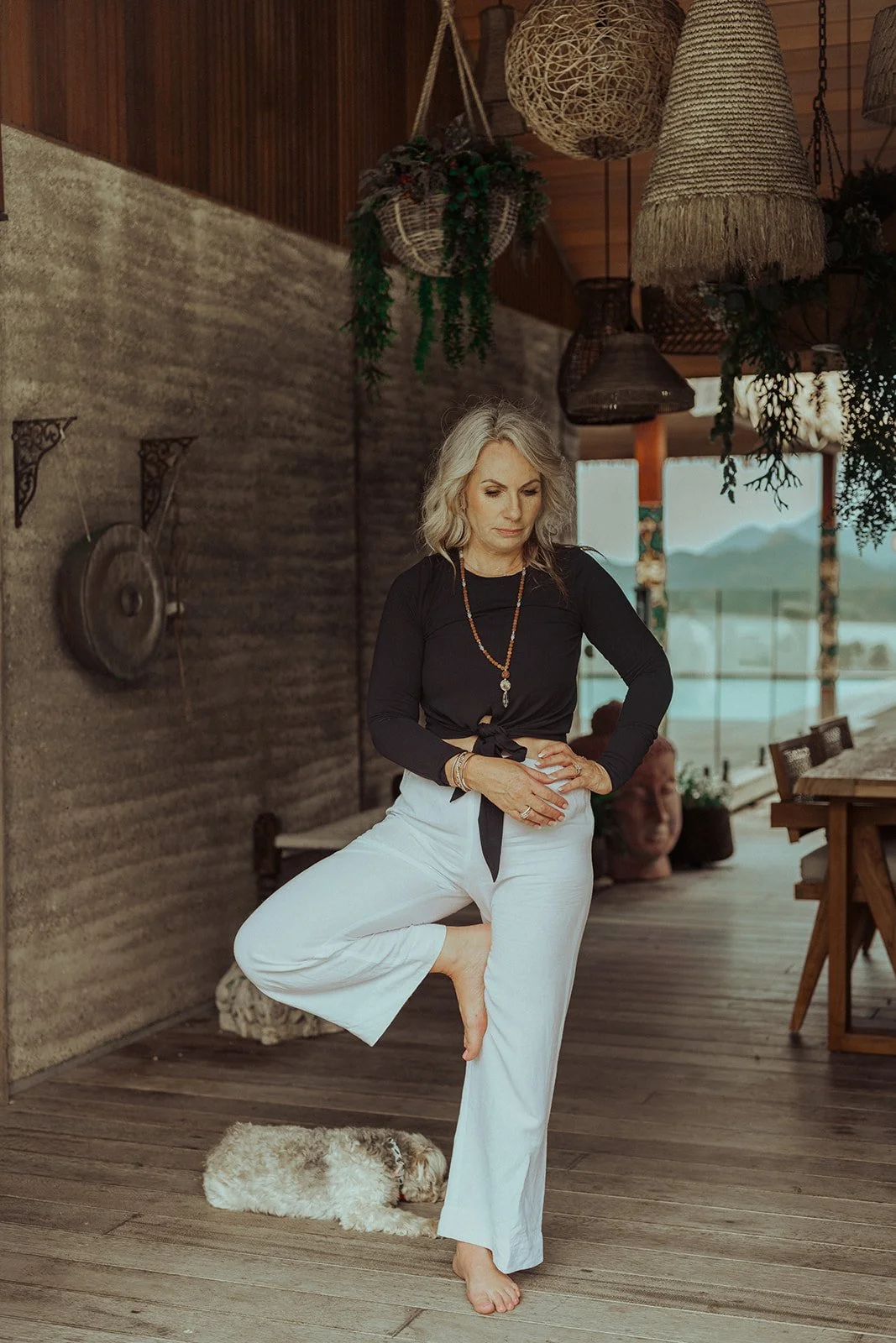 A woman practicing yoga or meditation indoors, standing on one leg with the other foot resting on her inner thigh in tree pose, on a wooden floor, with a small dog lying on a rug nearby, surrounded by hanging lamps and decorative plants.