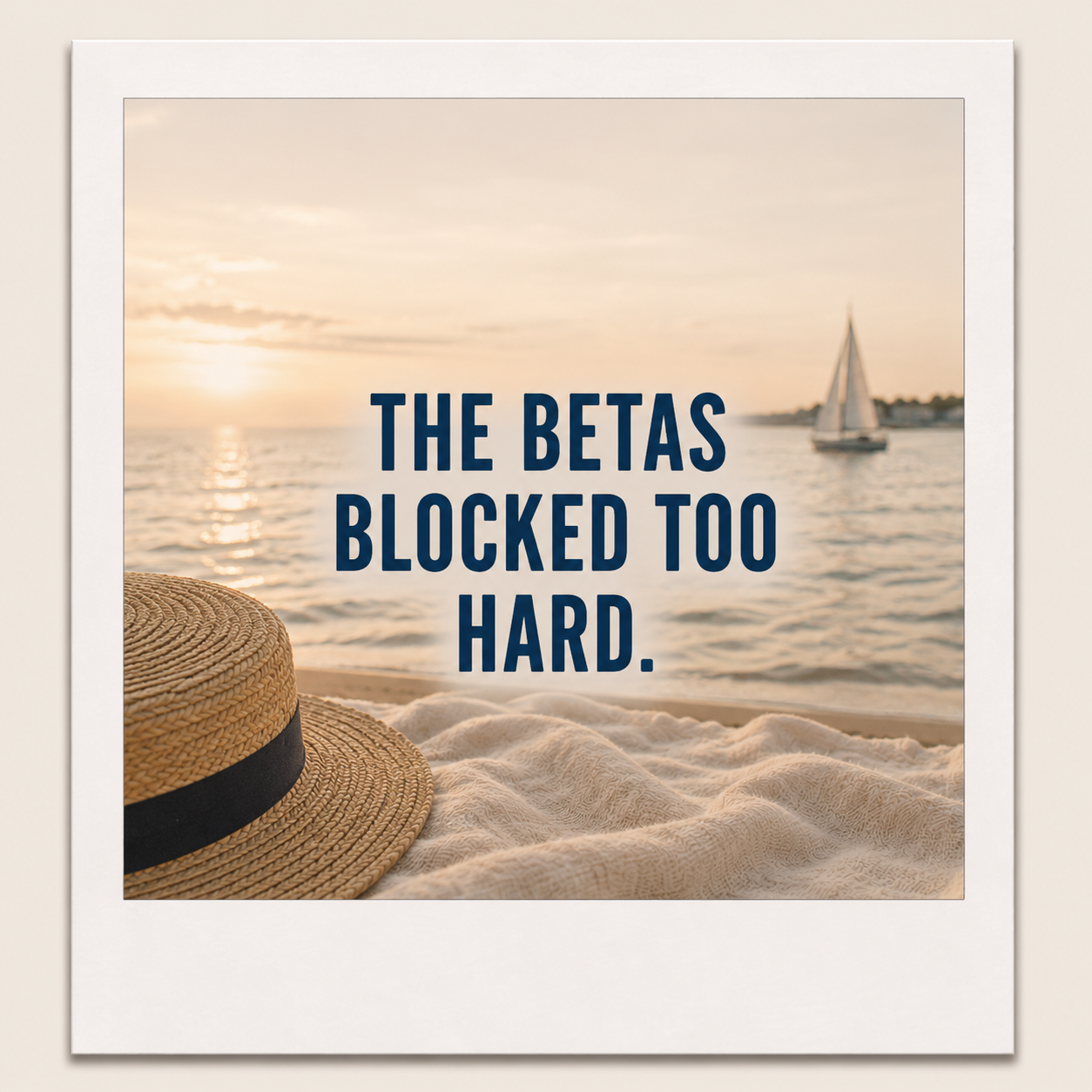A beach scene during sunset with a straw hat resting on a blanket in the foreground, and a sailboat on the water in the background, overlaid with the quote 'The betas blocked too hard.'