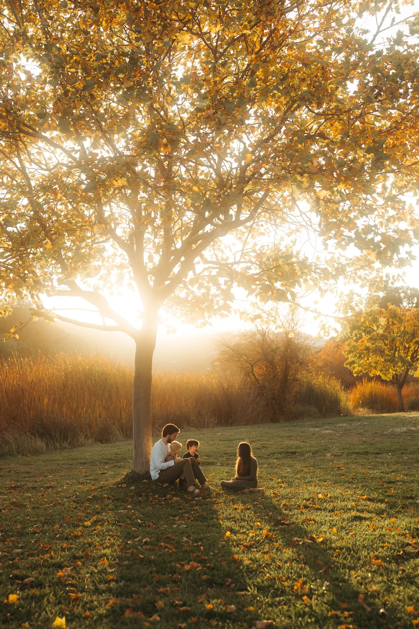 Fall Golden Hour Family Session | Marin County