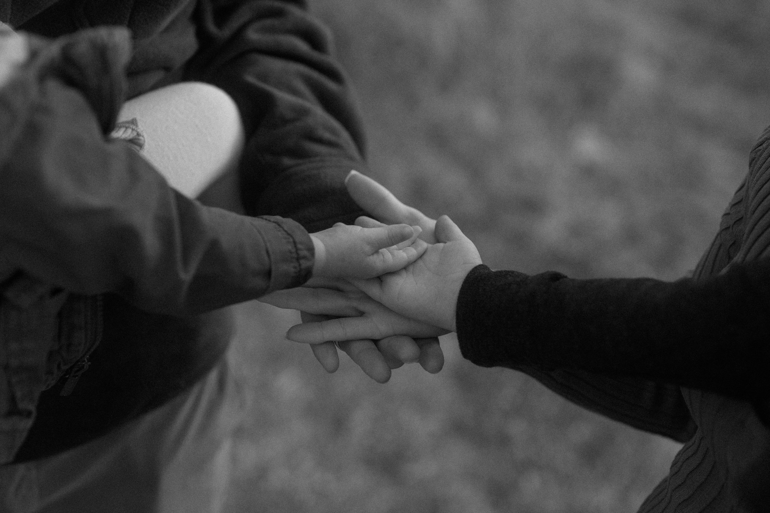 Family members holding hands during an intimate lifestyle family photography session in Sonoma County, California.