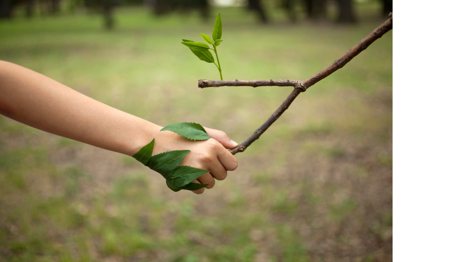 Nature Date Workshop