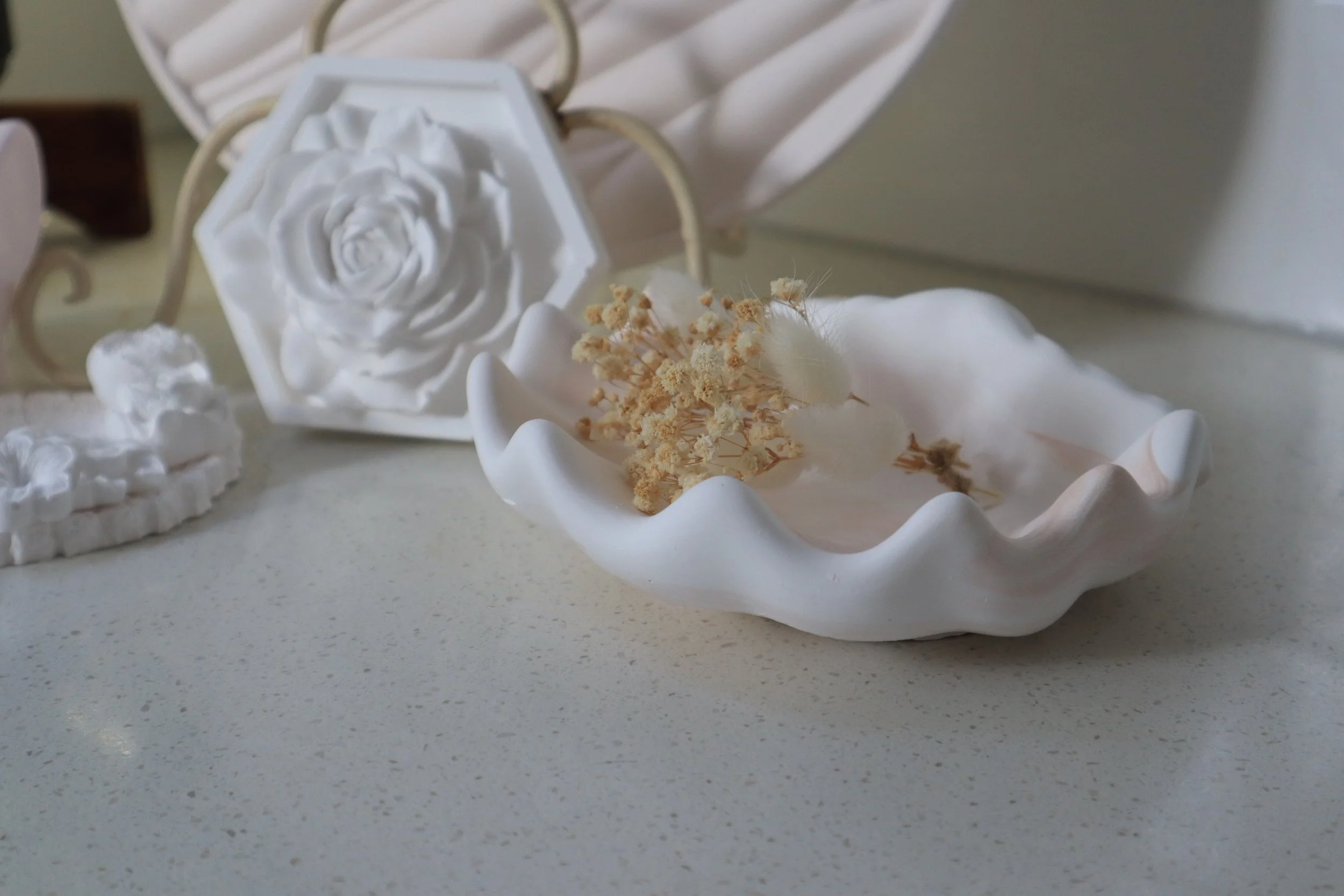 Seashell Decor