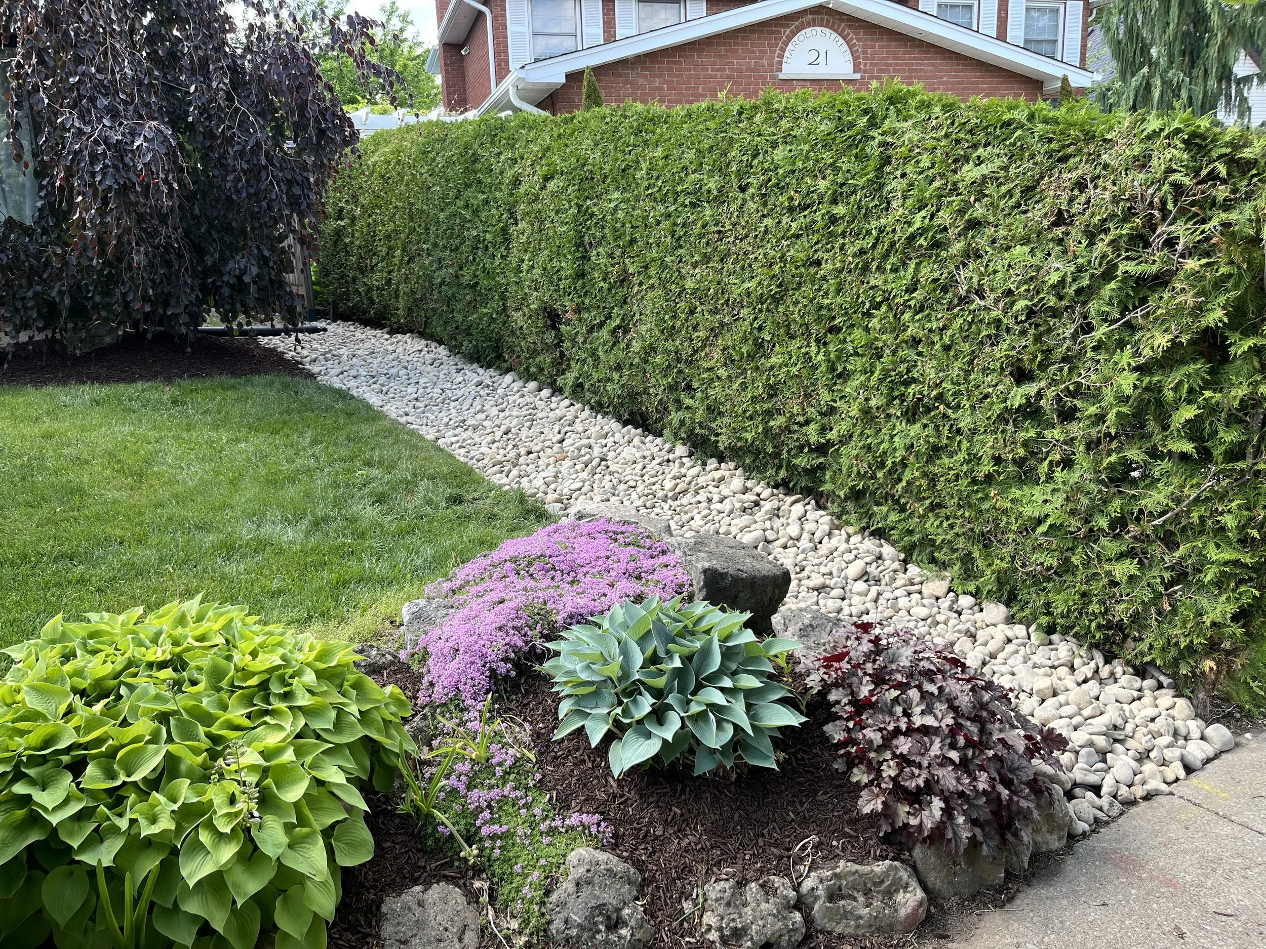 A landscaped front yard featuring a well-maintained trimmed hedge, colorful flowering plants, a small patch of grass, a rock border, and a brick house with a sign that reads "Harold Street 21" in the background.