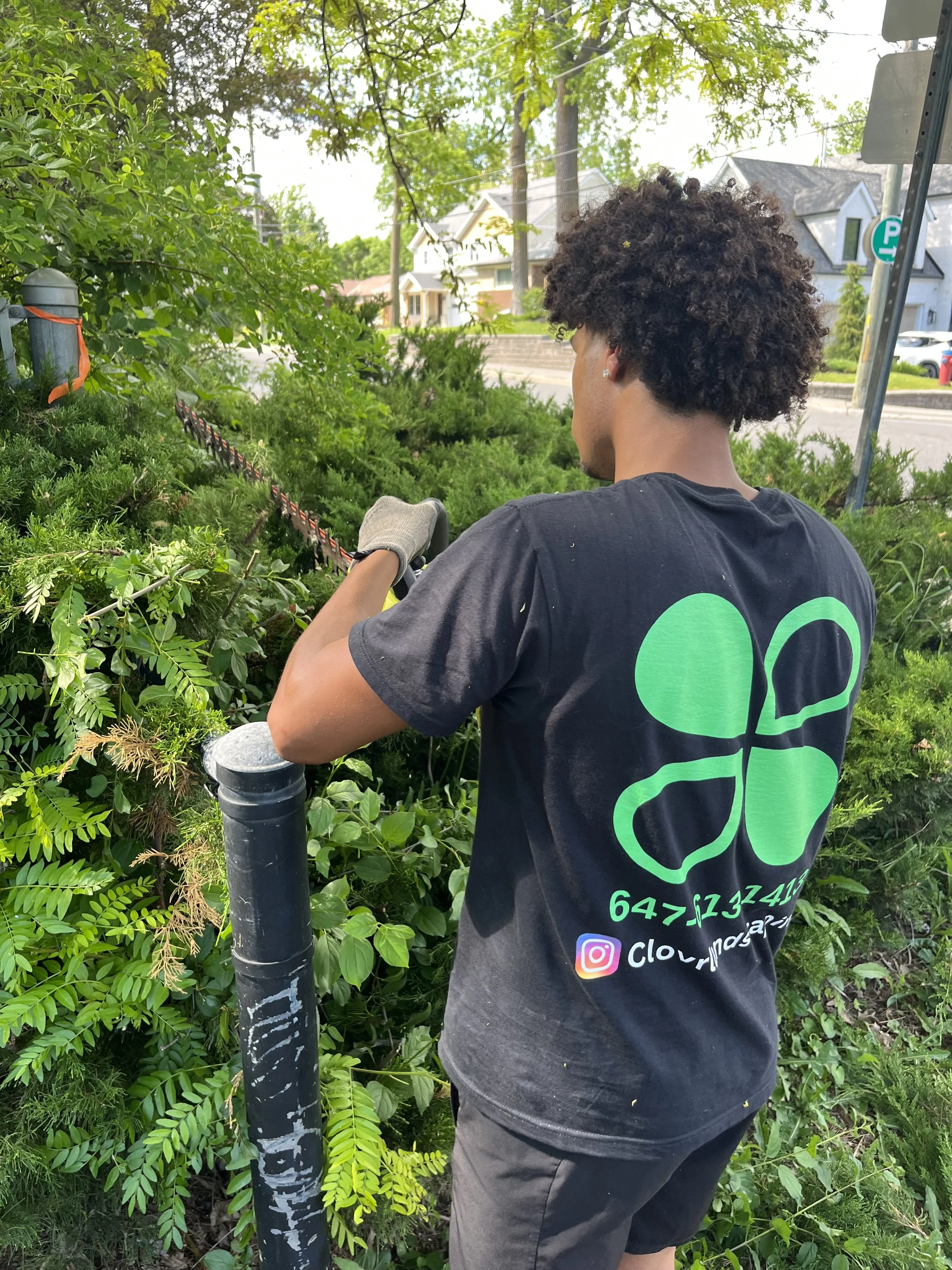 A person with curly hair raking or trimming bushes in a green outdoor area, wearing a black t-shirt with green design and phone number, and jeans or shorts.