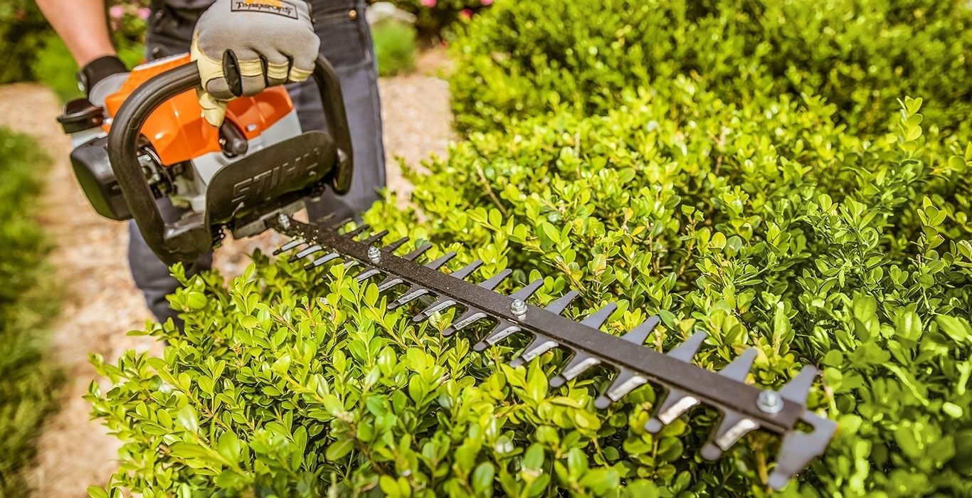 A person using a hedge trimmer to trim a green hedge outdoors.