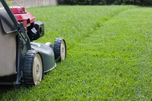 Lawn mower on a freshly cut grassy yard.