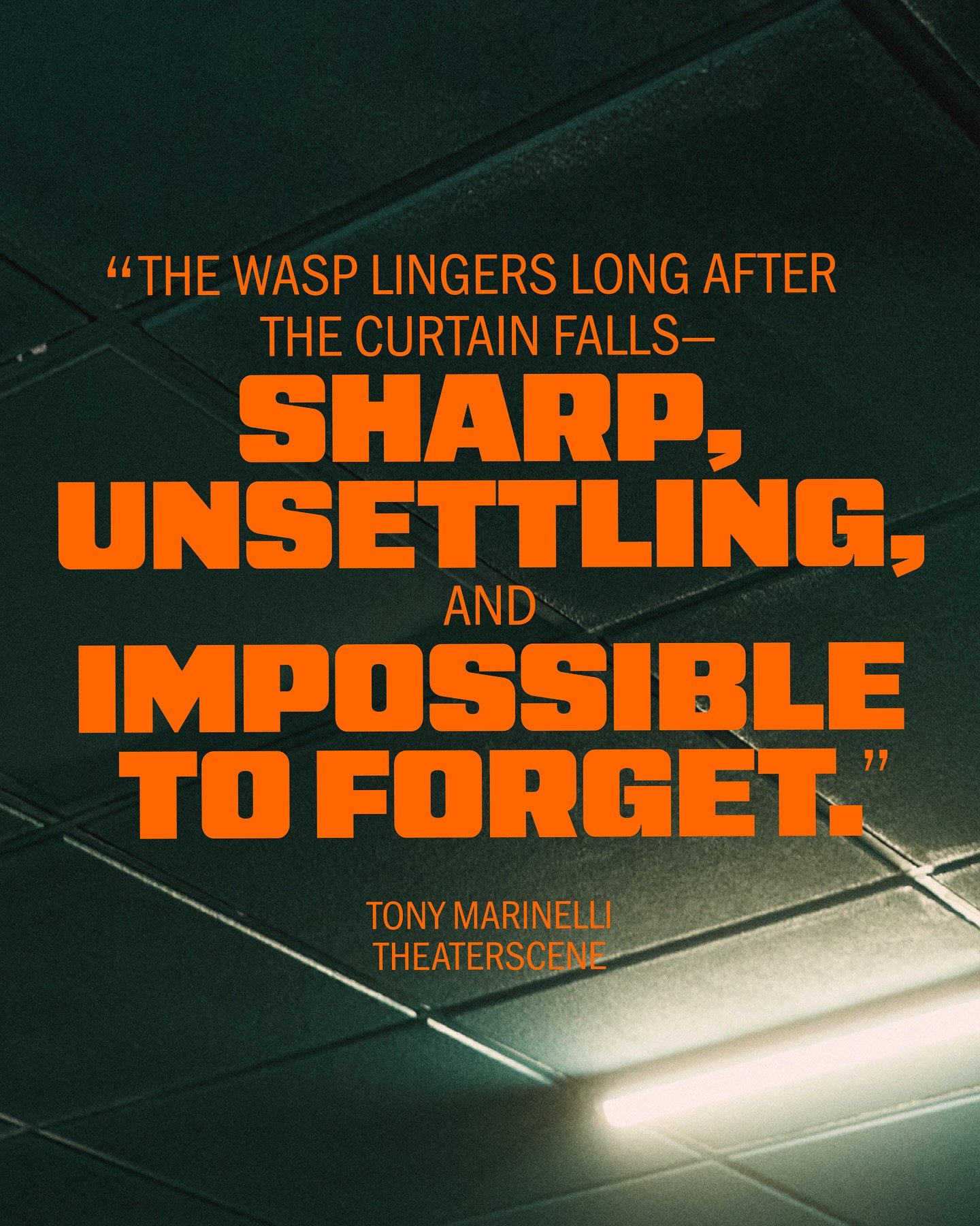 Only 4️⃣ more chances to experience THE WASP

Don't miss your opportunity to see this "sharp, unsettling" production starring Colby Minifie and Amy Forsyth. Must close Sunday, Nov 23. Get stung.