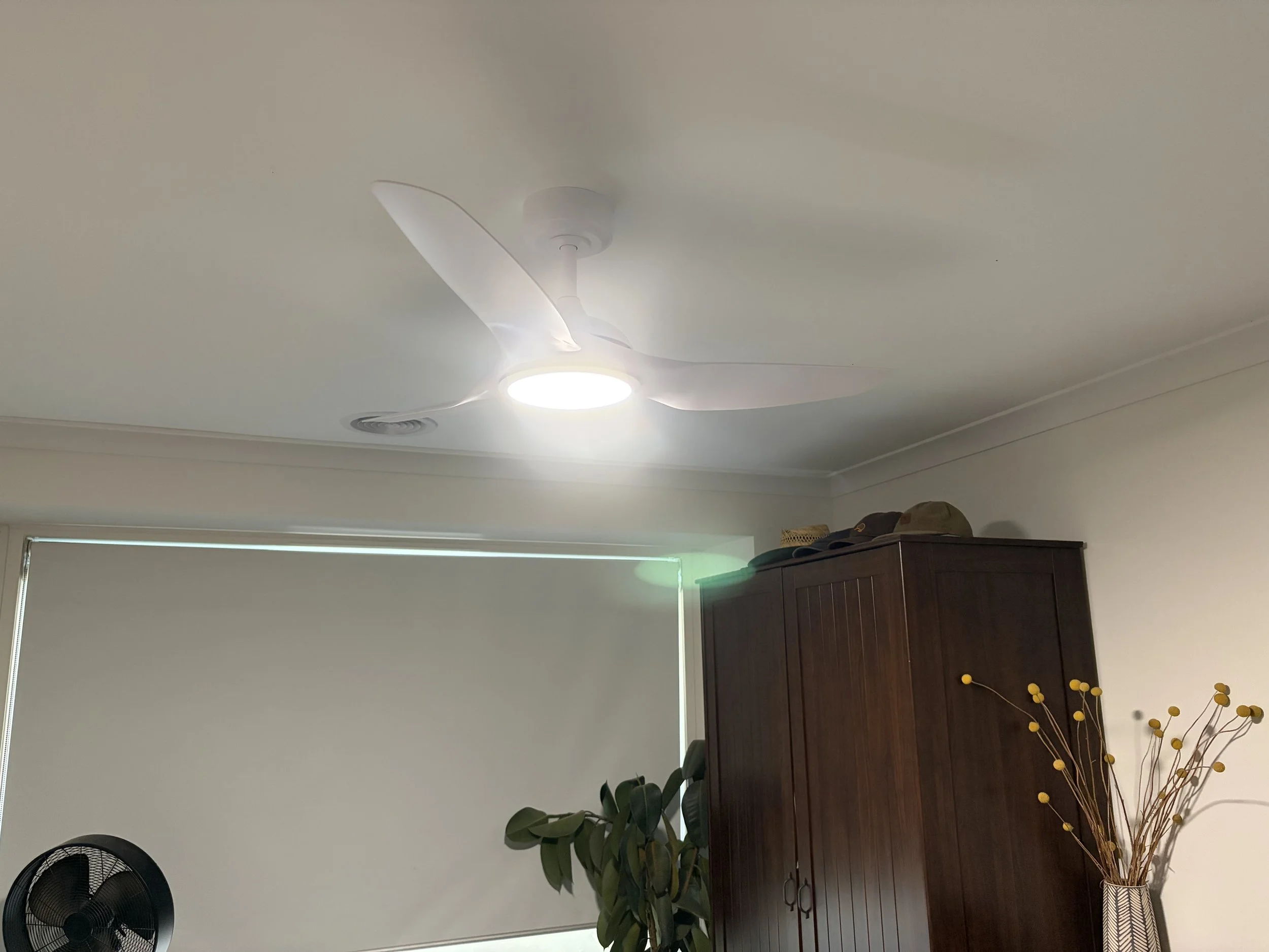 Ceiling fans for the warmer months.