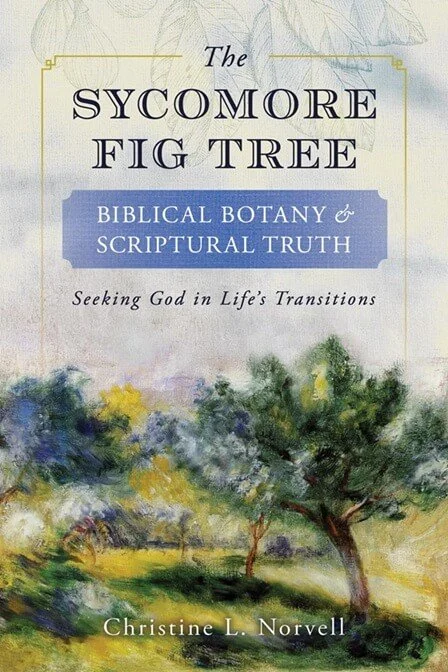 The Promise of Waiting: Spiritual Maturation in The Sycomore Fig Tree