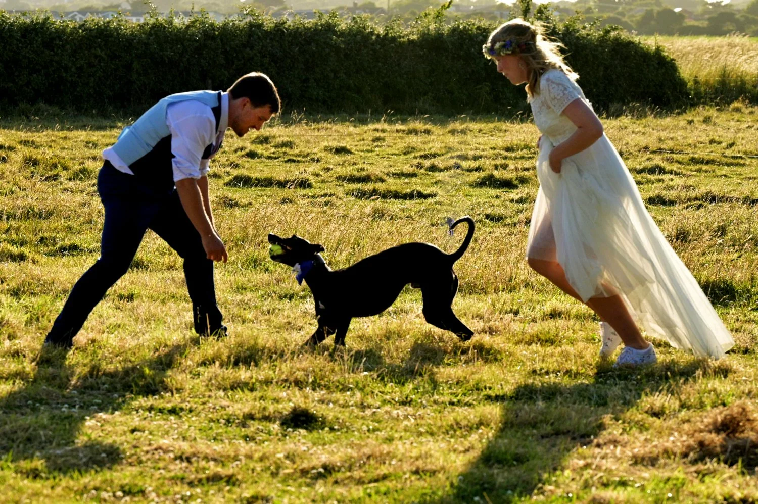 Bride and groom playing with their dog at a festival style wedding — candid documentary wedding photography by Tasha Boorman, Nottinghamshire wedding photographer
