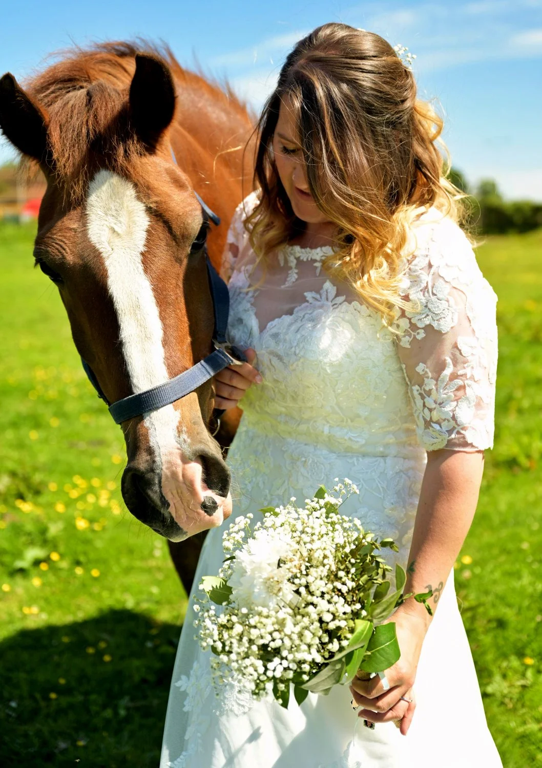 Bride in lace wedding dress holding gypsophila bouquet with her chestnut horse in sunny field, unique farm wedding portrait, Hampshire wedding photographer