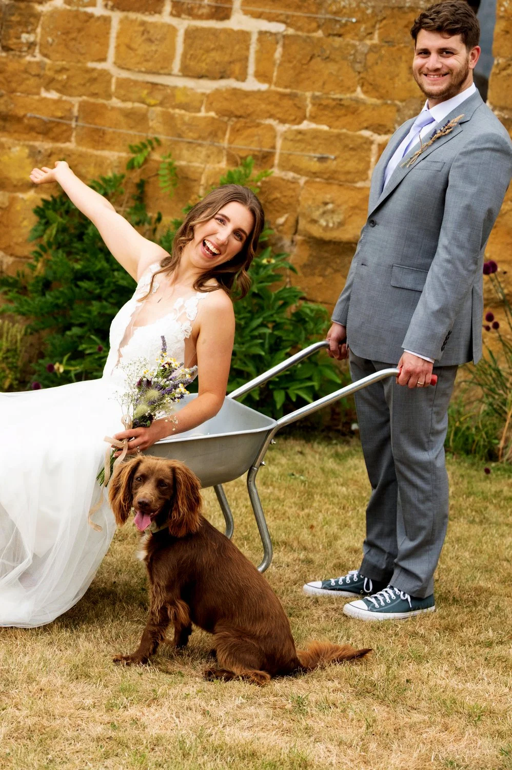 A happy bride sitting in a wheelbarrow holding a bouquet, with a brown dog sitting on the grass nearby, and a man in a gray suit holding the wheelbarrow handles, outdoors with plants and a brick wall in the background.