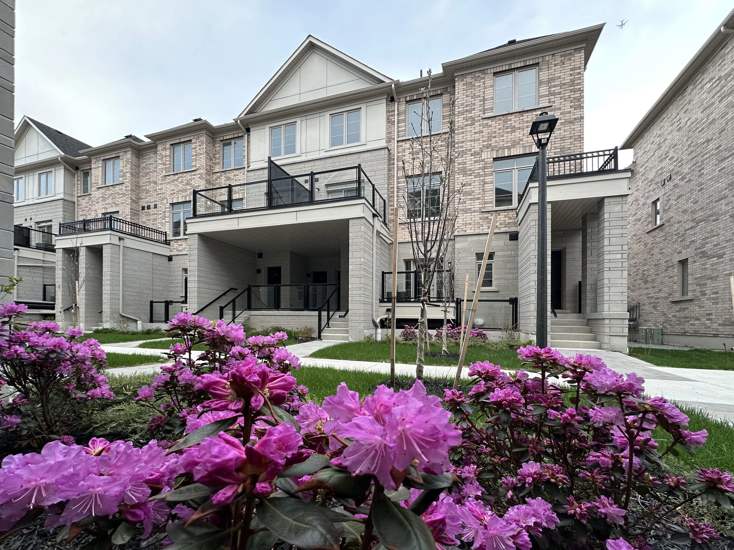 A row of modern townhouses with brick and light-colored siding, balconies, and steps leading to entrances. In the foreground, pink flowers and saplings are planted in a garden with a sidewalk.