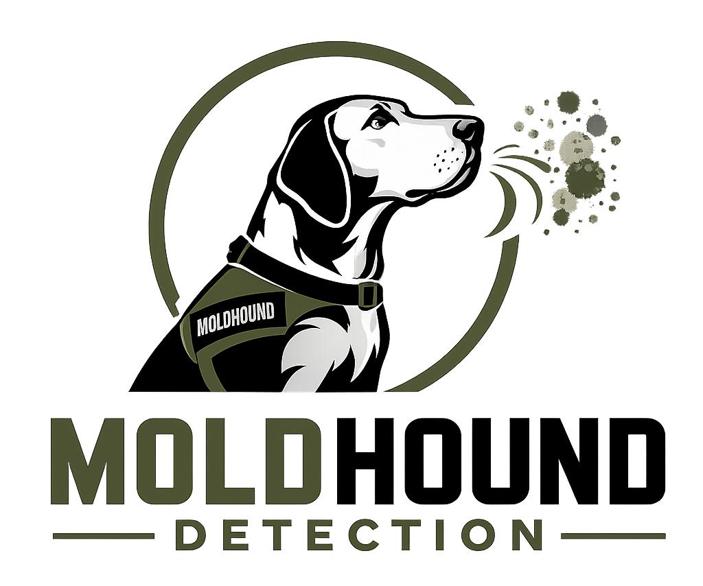 Logo featuring a black and white illustration of a beagle dog wearing a collar labeled 'MOLDHOUND', with the text 'MOLD SOUND DETECTION' below it.