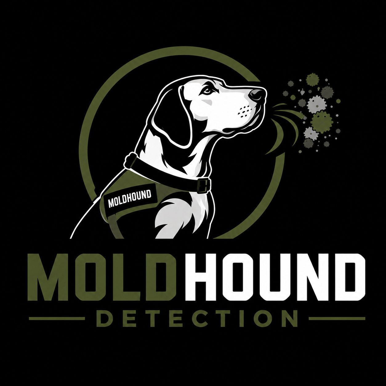 Logo of MoldHound Detection featuring a stylized black and white hound dog wearing a vest labeled "MoldHound," with spores or mold particles to the right and the text 'MoldHound Detection' below.