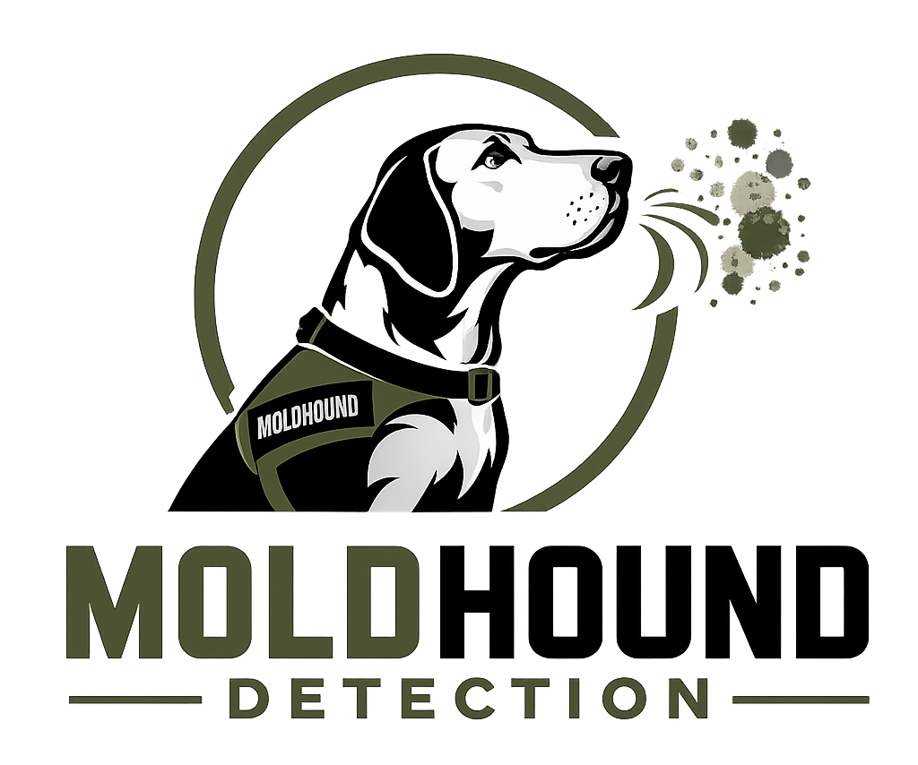 Mold Hound Detection
