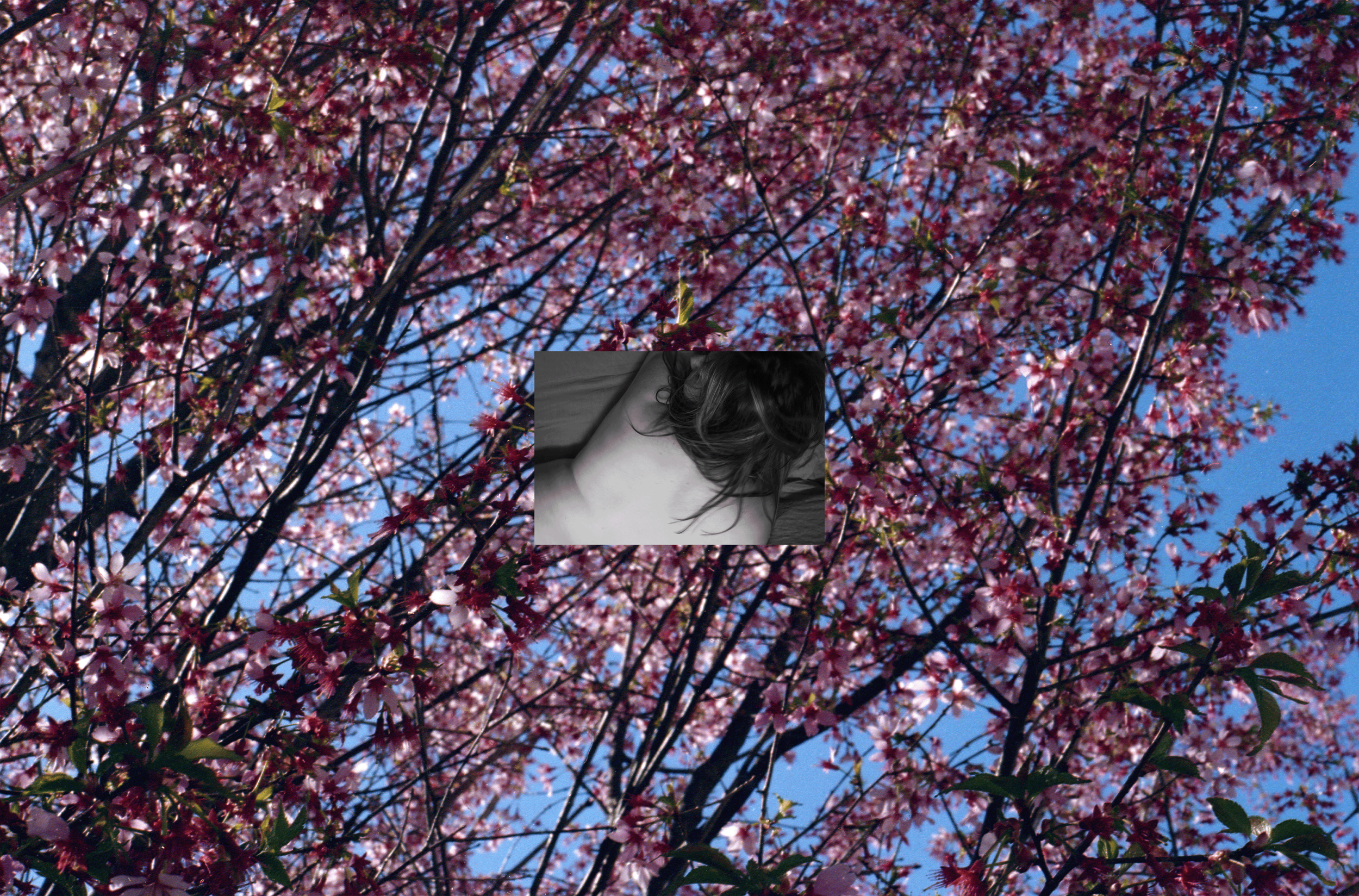 img20260422_2177313747.png