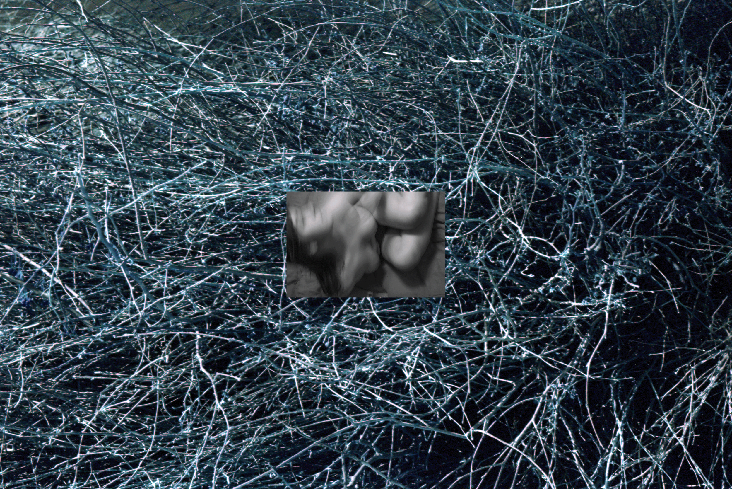 secon aidan bamboo pic.png