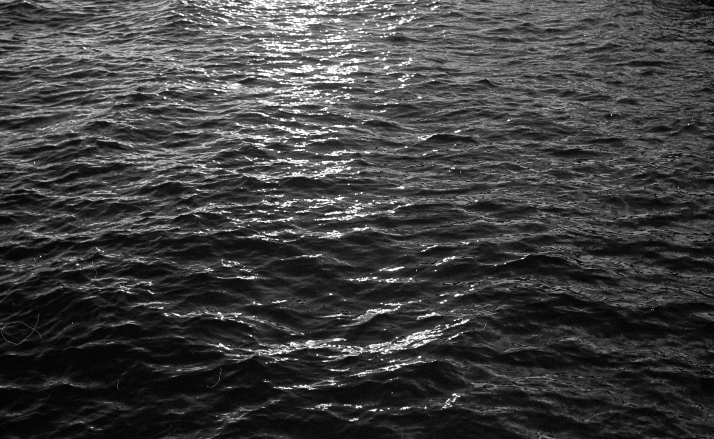 ocean.PNG