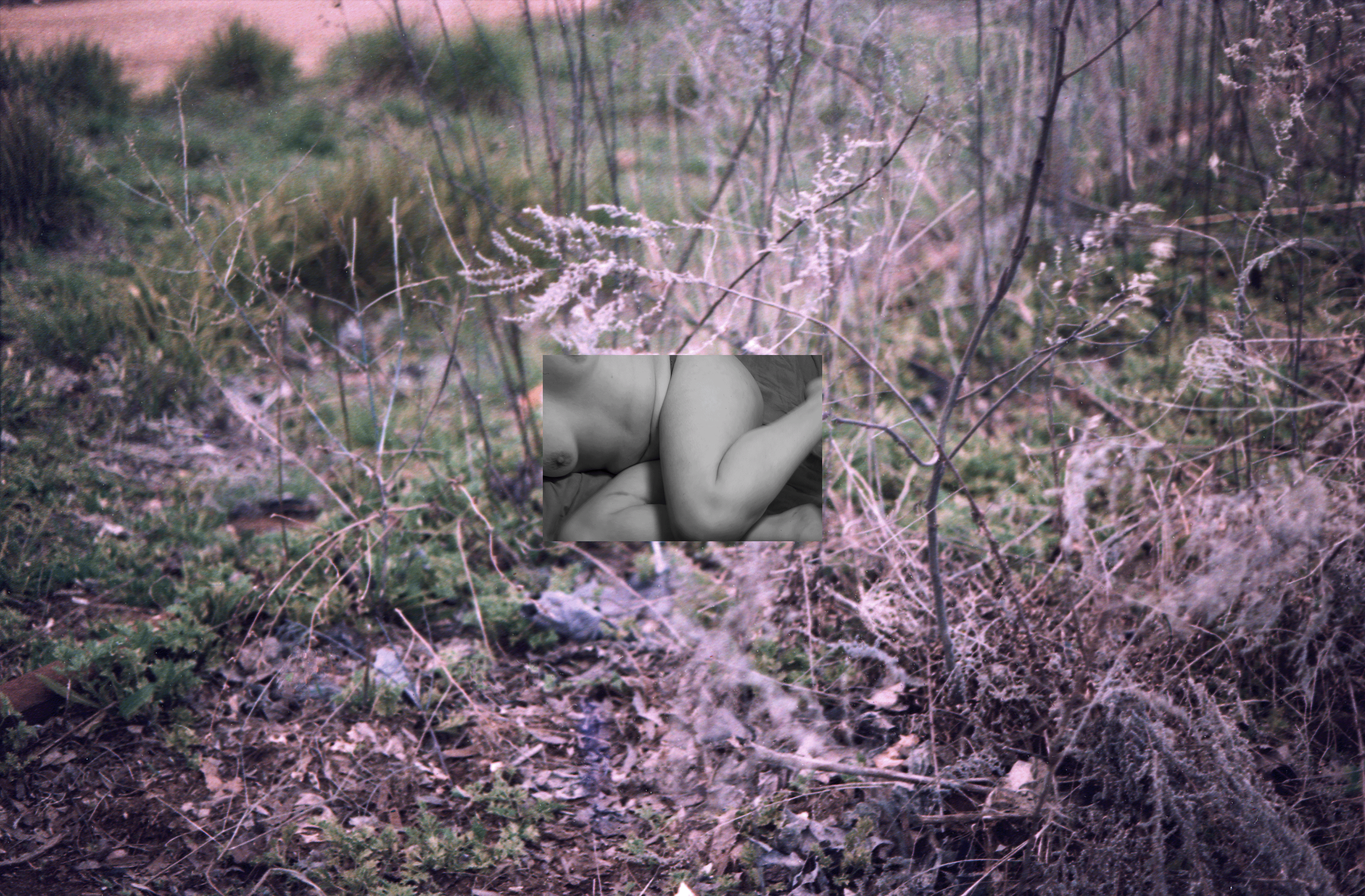 img20260422_2244020709.png