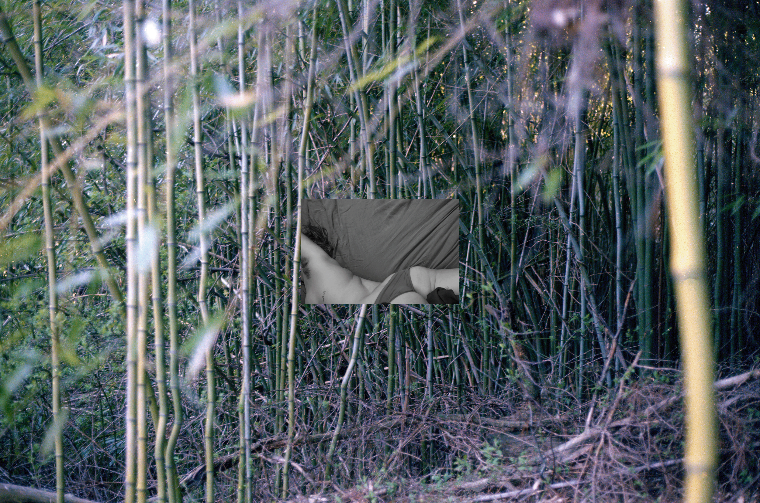 img20260422_2188182446.png