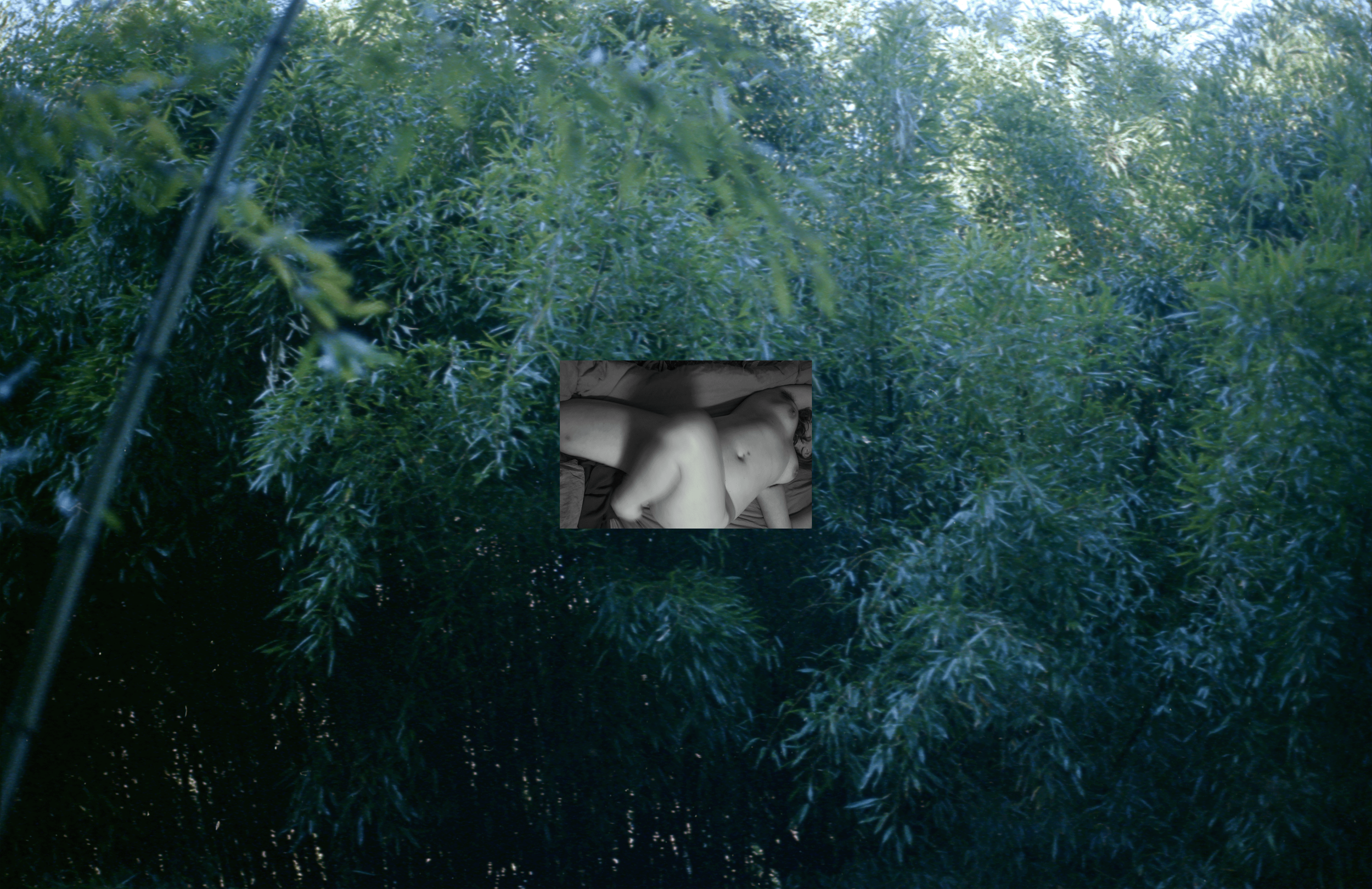 000.png