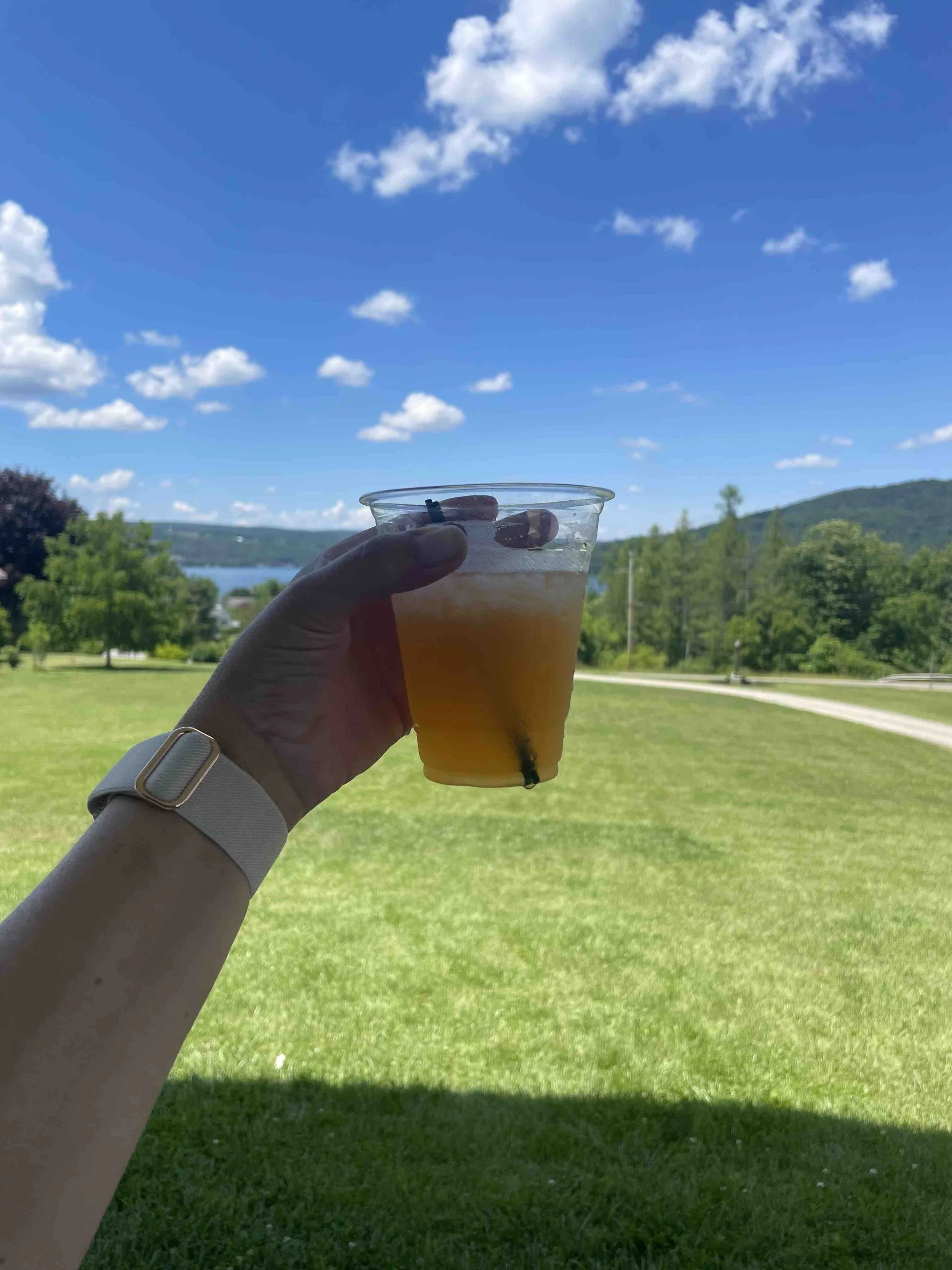 Cocktail.jpg