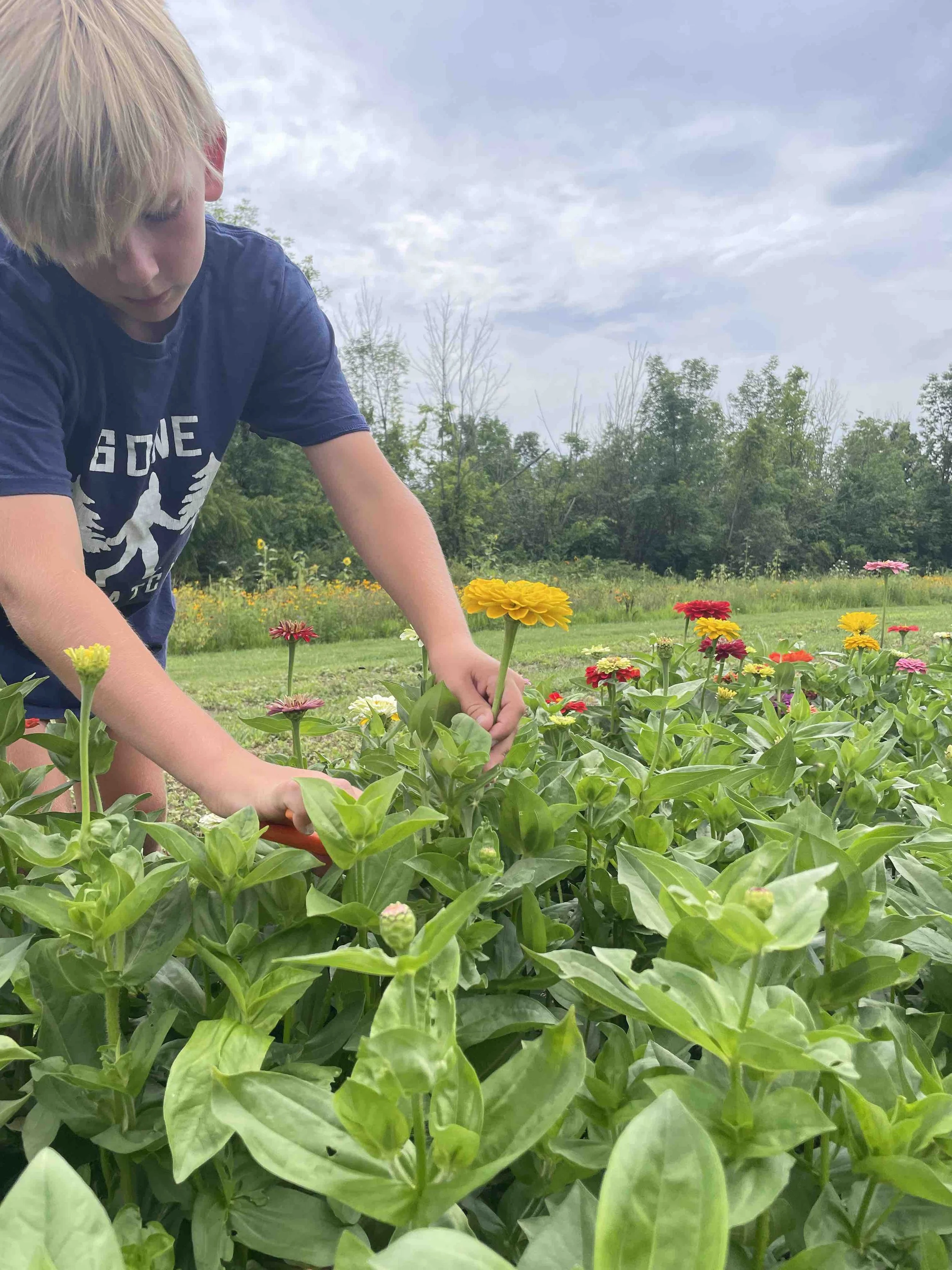 LaBarrFarm_UPick01.jpeg
